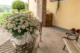 La Casa in Collina - Alba - 3