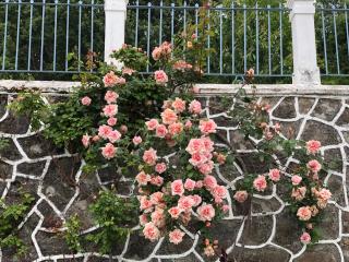 La Casita Del Castañar - 5