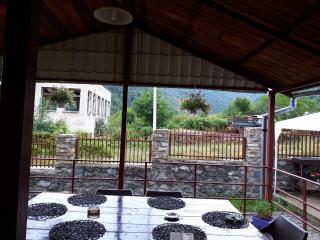 Cabana Beea - Dubova - 7