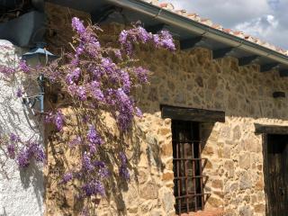 La Casita Del Castañar - Béjar - 7