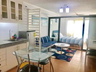 Fully Furnished 1BR Condo Unit - Cagayan de Oro - 7