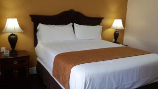 American Regency Inn - Williams - 3