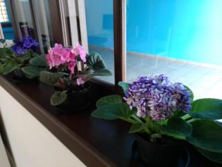 Hostel Villa Pomerânia - 7