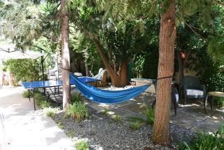 B&B Al Vecchio Glicine - Torre Canne - 7