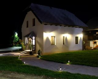 The Jungle Apartments and Rooms (Vila Džungla) - Bled - 0