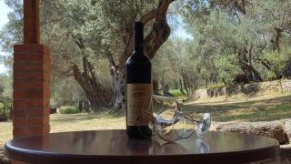 Olive Paradise - 2