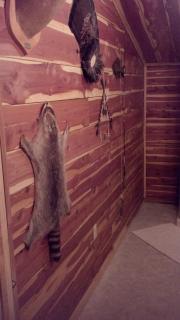 Cedar cabin located on a buffalo farm - 2