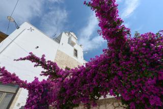 Masseria Lamiola Piccola - Ostuni - 6