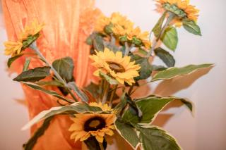 Apartment Patricia - Rab - 6
