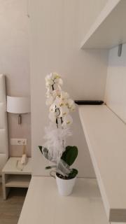 Hotel Acapulco - Lignano Sabbiadoro - 2