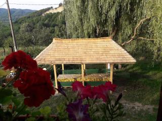 Cottage Poe - Poienari - 9