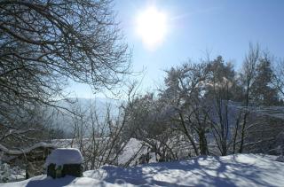 Vreni's Gästezimmer - 5