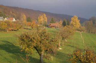 Vreni's Gästezimmer - Himmelried - 2