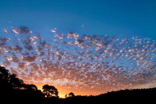 Bridgetown Valley Lodge - 4