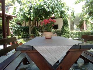 Anastasia Chalatsogianni Rooms - 0