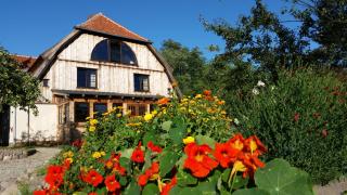 Stara Papiernia Zielony Lasek - 1