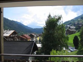 Studio Forclaz - Le Grand-Bornand - 8