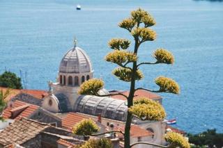 Apartment Lambasa - Vodice - 4