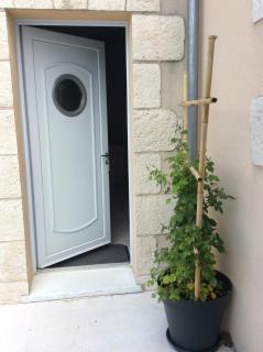Tercier de vigne - Chécy - 3