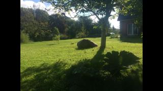 FeWo s Runde Wiese RW - 9