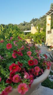 Aloe Villa - Lefkada - 6