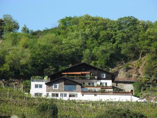 Appartementhaus Linter - Tirol - 0
