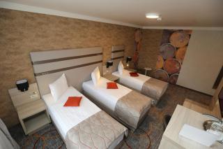 Hotel Baril - Haţeg - 2