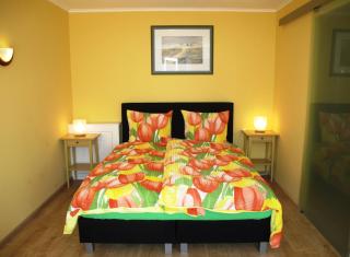 Duinen Paradijs Zandvoort - 9