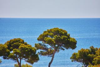 Petit Hotel Ses Rotges - Only Adults - Cala Ratjada - 7