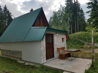 Vikendica FILIP L - Žabljak - 0