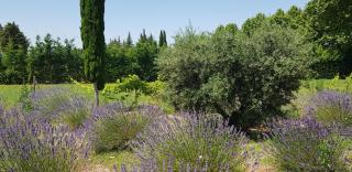 La Pastorale - Lagnes - 7