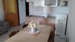 Apartments Mara Mandre - Mandre - 8