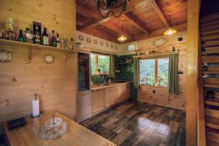 Chalet Tara - Mojkovac - 2