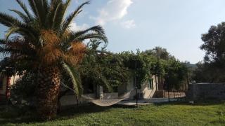 Country Village House - Skala Mistegnon - 4