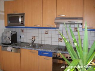 Riedl Gästewohnung - Klagenfurt - 5