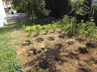 Chez Gerard - Champigneulles - 6