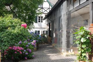 Rhein River Guesthouse - direkt am Rhein - Leverkusen - 1
