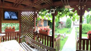 Dor de munte - Borşa - 4