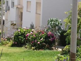 Tiagos Apartament - Faro - 8