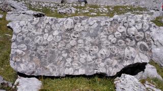 Residenza Caola Sant'Antonio Mavignola - 4