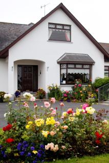 Mourneview B & B - Carlingford - 4