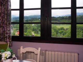Casas Rurales Asturias Campon Antrialgo - Infiesto - 6