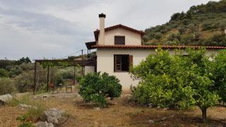 Ample Modern Country Home - Néa Epídhavros - 4