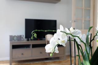 Apartament Turkus - Stettin - 8
