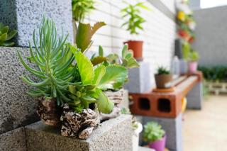 No.51 Ruisui Homestay - 2