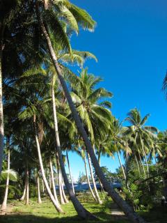 Mahu Lodge - Nolot - 4