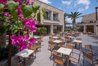 Cactus Beach Hotel - 4