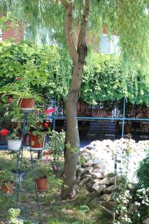 Hotel Vila Alex - Costinesti - 6