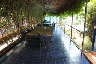Hotel Vila Alex - Costinesti - 2