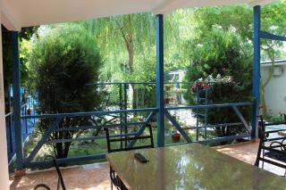 Hotel Vila Alex - Costinesti - 1